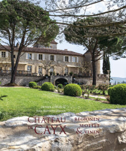 Chateau de Cayx (Bog)