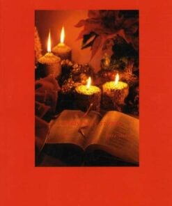 Christmas Stories For Everybody - Jette Steen - Bog