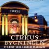 Cirkusbygningen: et lærestykke i græsrodsarbejde (E-bog)