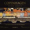 Copenhagen from Above (Bog)