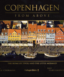 Copenhagen from Above (Bog)