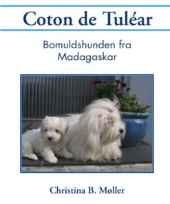 Coton de Tuléar (Bog)