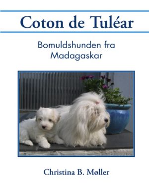 Coton de Tuléar (Bog)