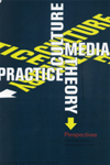 Culture, media, theory, practice : perspectives (E-bog)