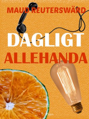 DAGLIGT ALLEHANDA (E-bog)