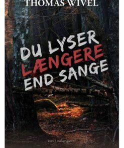 DU LYSER LÆNGERE END SANGE (E-bog)