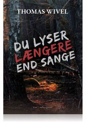 DU LYSER LÆNGERE END SANGE (E-bog)