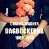 Dagböckerna 1869 - 1883 (E-bog)
