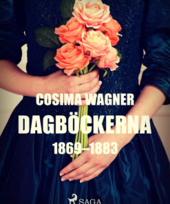 Dagböckerna 1869 - 1883 (E-bog)