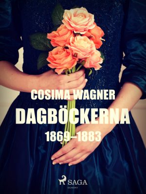 Dagböckerna 1869 - 1883 (E-bog)