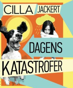 Dagens katastrofer (E-bog)