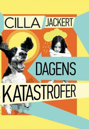 Dagens katastrofer (E-bog)