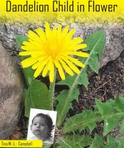 Dandelion Child in Flower (Bog)