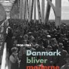 Danmark bliver moderne (Bog)
