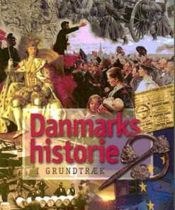 Danmarks Historie - I Grundtræk - Steen Busck - Bog