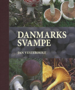 Danmarks svampe (Bog)