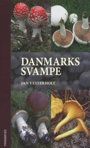 Danmarks svampe (Bog)