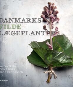 Danmarks vilde lægeplanter (Bog)
