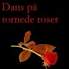 Dans på tornede roser (E-bog)