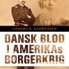 Dansk blod i Amerikas borgerkrig (E-bog)