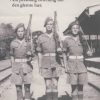 Dansk soldat i britisk tjeneste (Bog)