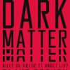 Dark Matter (E-bog)