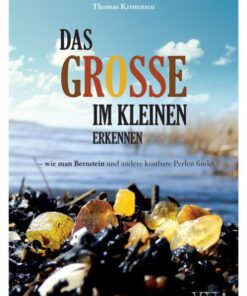 Das Grosse im kleinen erkennen (Bog)