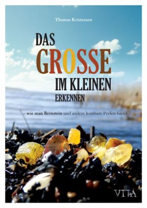 Das Grosse im kleinen erkennen (Bog)