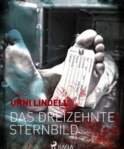 Das dreizehnte Sternbild (E-bog)