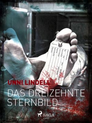 Das dreizehnte Sternbild (E-bog)