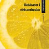 Databaser i virksomheden (E-bog)
