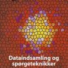 Dataindsamling Og Spørgeteknikker I Projektarbejder Inden For Samfundsvidenskaberne - Ib Andersen - Bog