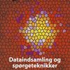 Dataindsamling og spørgeteknikker i projektarbejder inden for samfundsvidenskaberne (Bog)