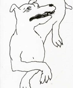 Datter Lili - Vibeke Grønfeldt - Bog