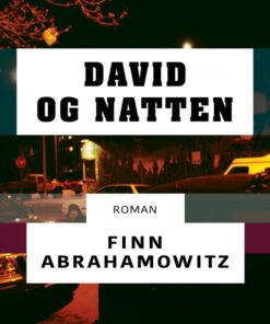David og natten (E-bog)