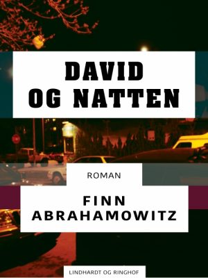 David og natten (E-bog)