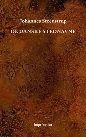 De Danske Stednavne - Johannes Steenstrup - Bog