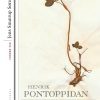 De Dødes Rige - Henrik Pontoppidan - Bog