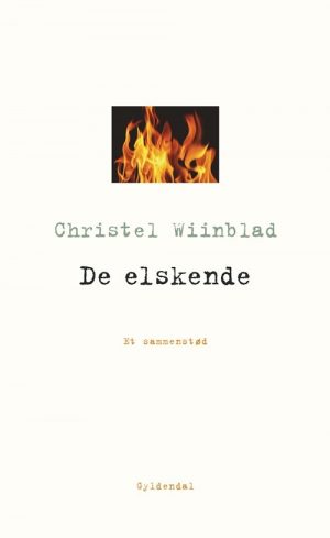 De Elskende - Christel Wiinblad - Bog