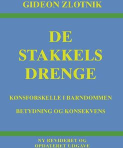 De Stakkels Drenge - Gideon Zlotnik - Bog