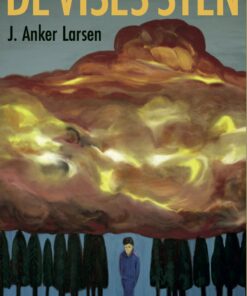 De Vises Sten - J. Anker Larsen - Bog