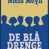 De blå drenge (Bog)