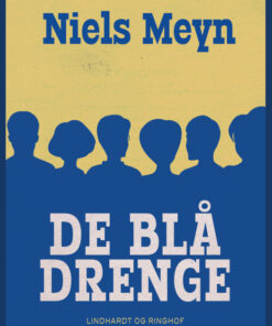 De blå drenge (Bog)