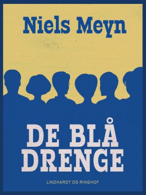 De blå drenge (Bog)