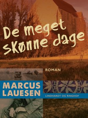 De meget skønne dage (Bog)