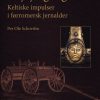 Dejbjergvognene - Per Ole Schovsbo - Bog