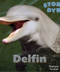 Delfin (Bog)