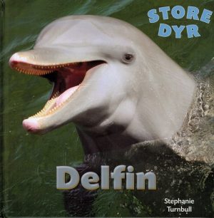 Delfin (Bog)