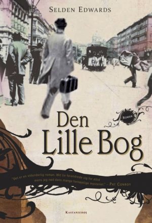 Den Lille Bog (Bog)