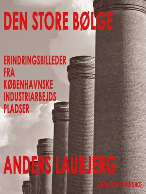 Den Store Bølge - Anders Laubjerg - Bog